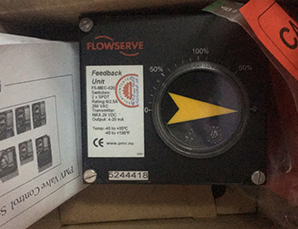 ����Flowserve